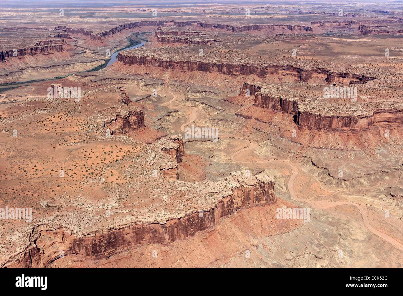 Stati Uniti, Utah e Colorado Plateau, il Parco Nazionale di Canyonlands, Island in the Sky district, Taylor Canyon e il Green River in background (vista aerea) Foto Stock
