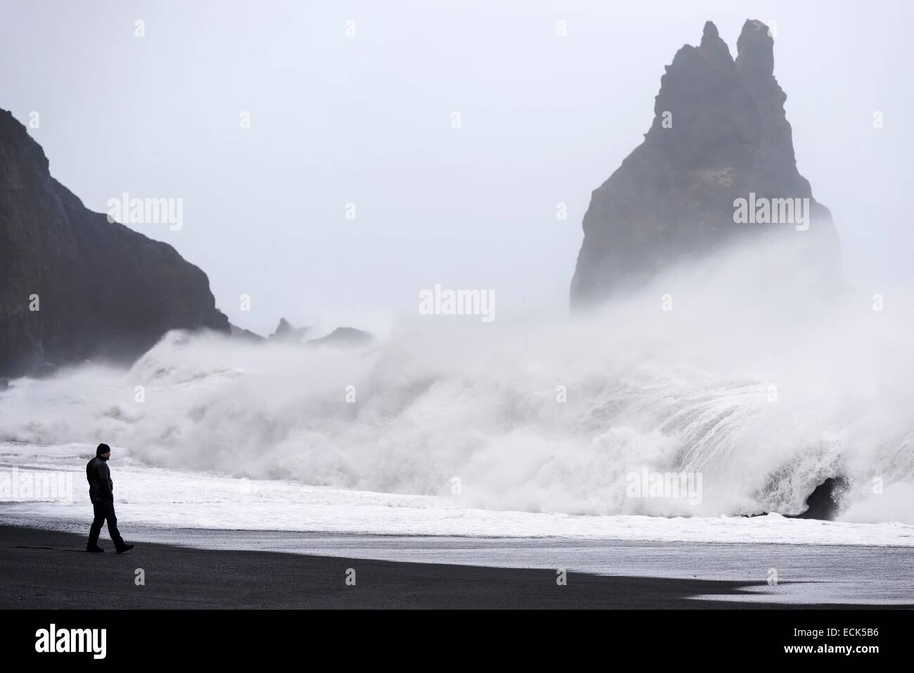 L'Islanda, regione Sudurland, Vik, storm su scogliere Reynisfjall Foto Stock