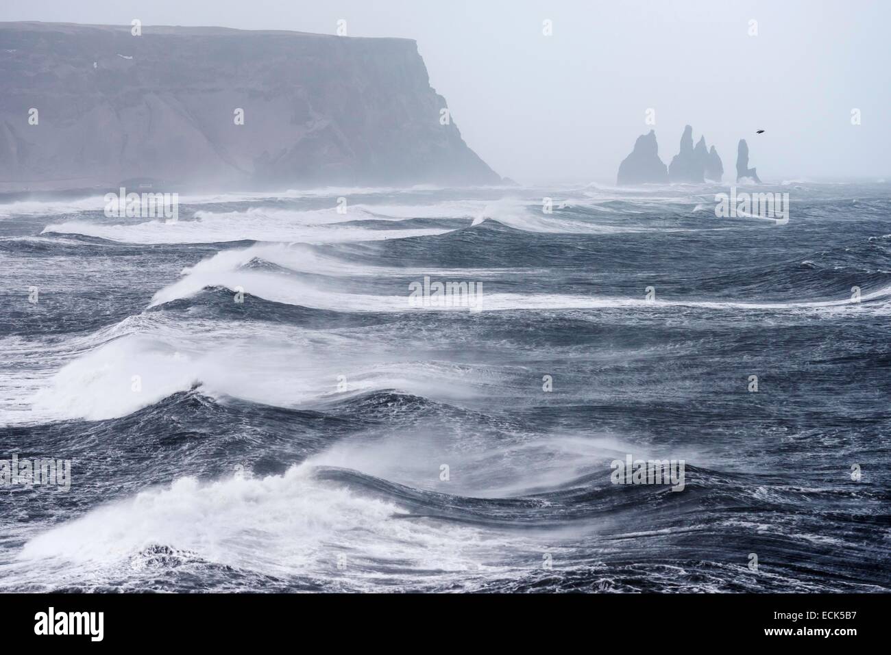 L'Islanda, regione Sudurland, Vik, storm su scogliere Reynisfjall Foto Stock