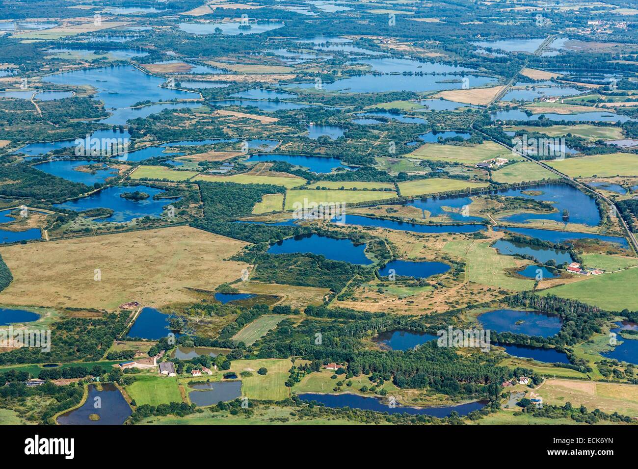 Francia, Indre, Migne, stagni in La Brenne parco regionale (vista aerea) Foto Stock