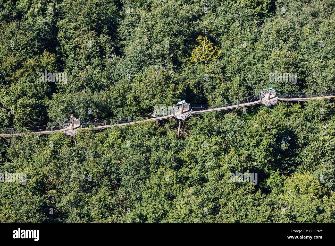 Francia, Vienne, Dienne, Defi pianeta Recreation Park, una sospensione ponte sopra il foreSaint (vista aerea) Foto Stock