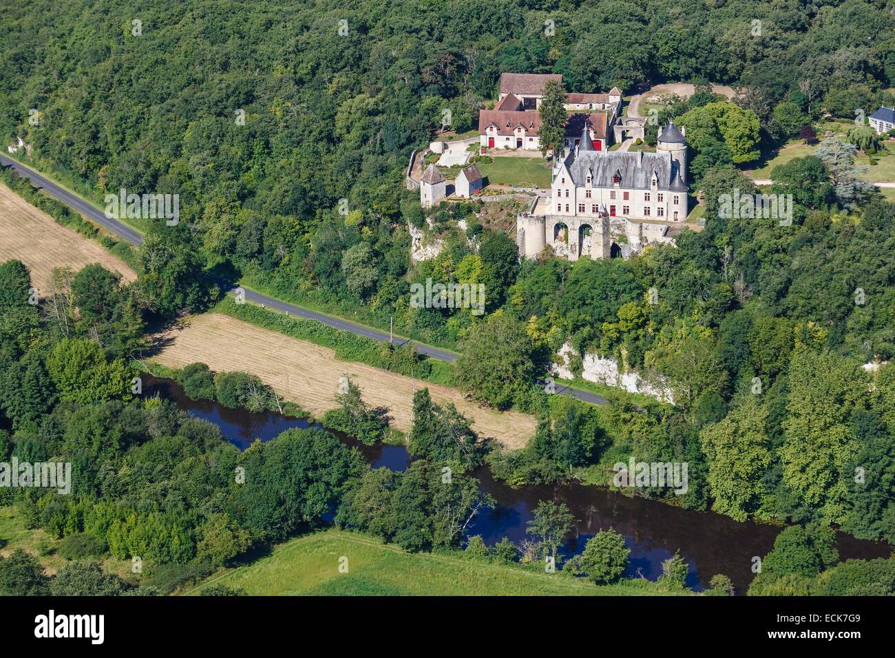 Francia, Vienne, Saint Pierre de Maille, La Guittiere CASTELLO (vista aerea) Foto Stock