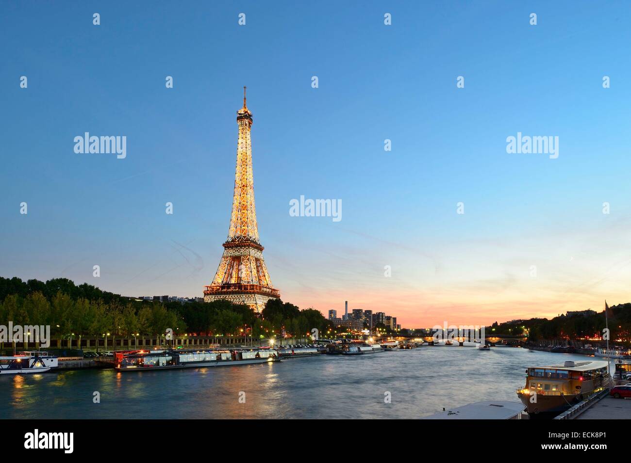 Francia, Parigi, zona elencata come patrimonio mondiale dall'UNESCO, la Senna e dalla Torre Eiffel illuminata (⌐ SETE-luminarie Pierre Bideau) Foto Stock