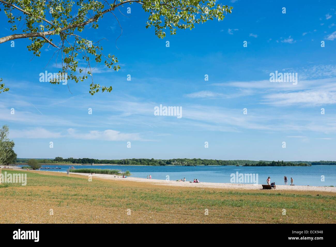 Francia, Meuse, lago di Madine, artificiaal lago nella Lorena parco naturale regionale Foto Stock