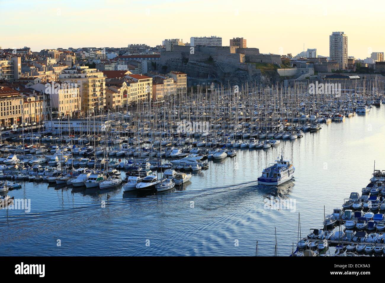 Francia, Bouches du Rhone, Marsiglia Vieux Port, Rive Neuve dock, navetta Chevalier Paolo per le isole del Frioul Foto Stock