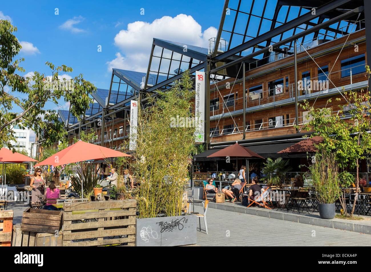 Francia, Parigi, Halle Pajol, energia positiva edificio, produce elettricità con 3500 m2 di pannelli fotovoltaici, Les Petites Gouttes bistrot gastronomico Foto Stock