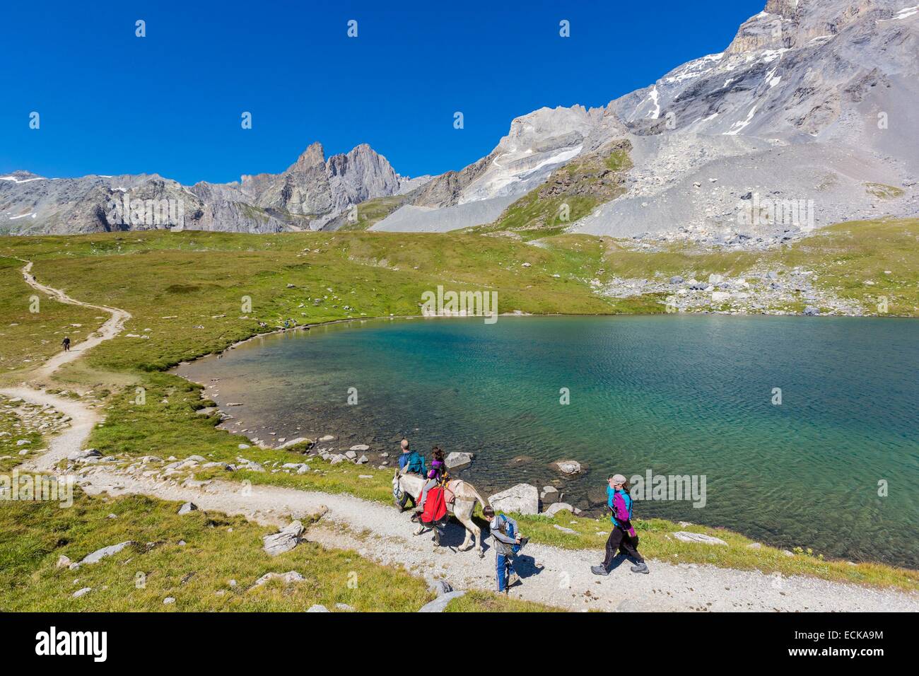 Francia, Savoie, Pralognan La Vanoise, il Parc National de la Vanoise, GR55, percorso del Col de la Vanoise, la Route du sel et du Beaufort (sale e Beaufort Road), gli escursionisti con un asino in bordo del lago Rond Foto Stock