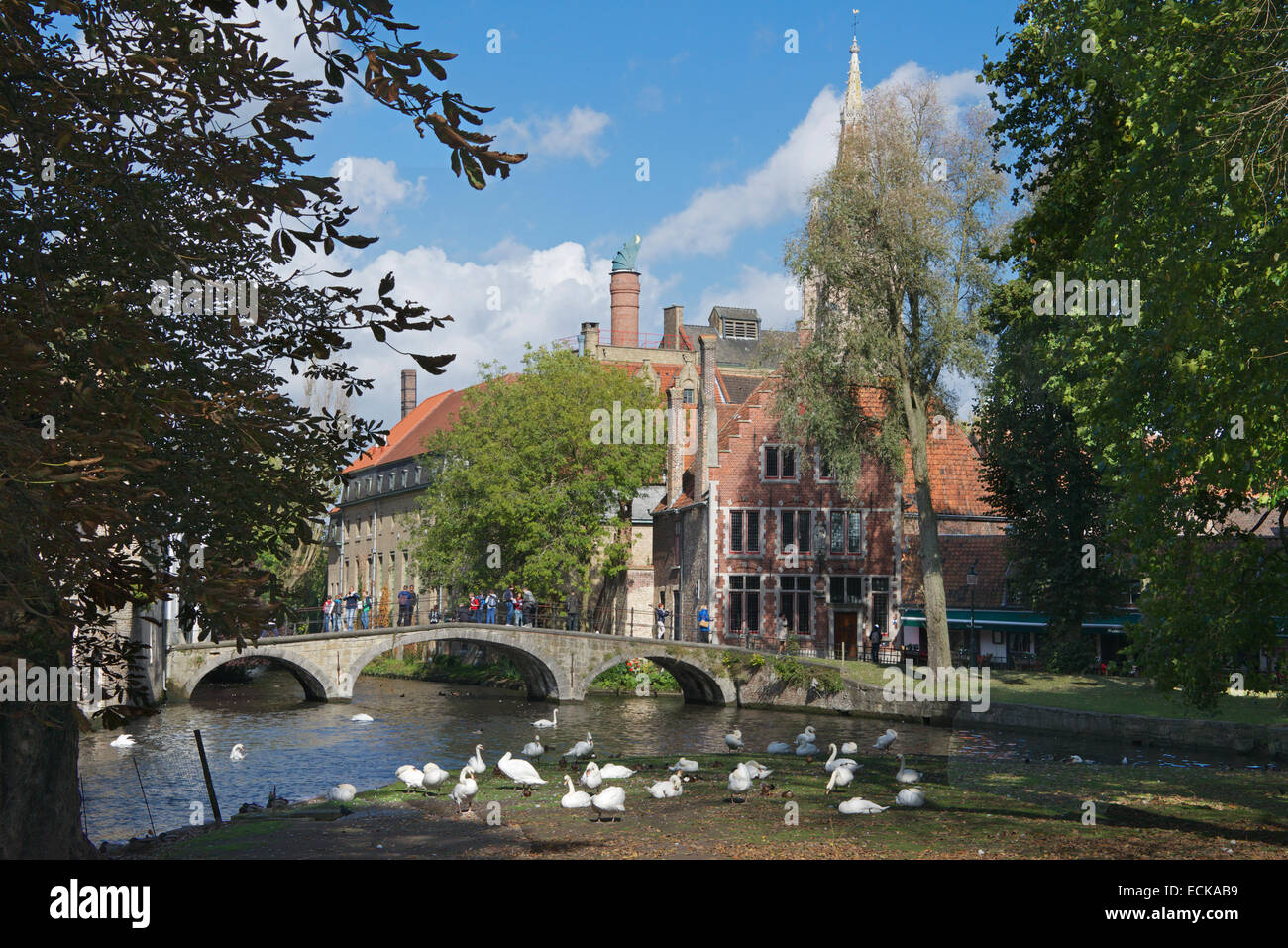 Canal e ponte Wijngaard Plein Bruges Belgio Foto Stock