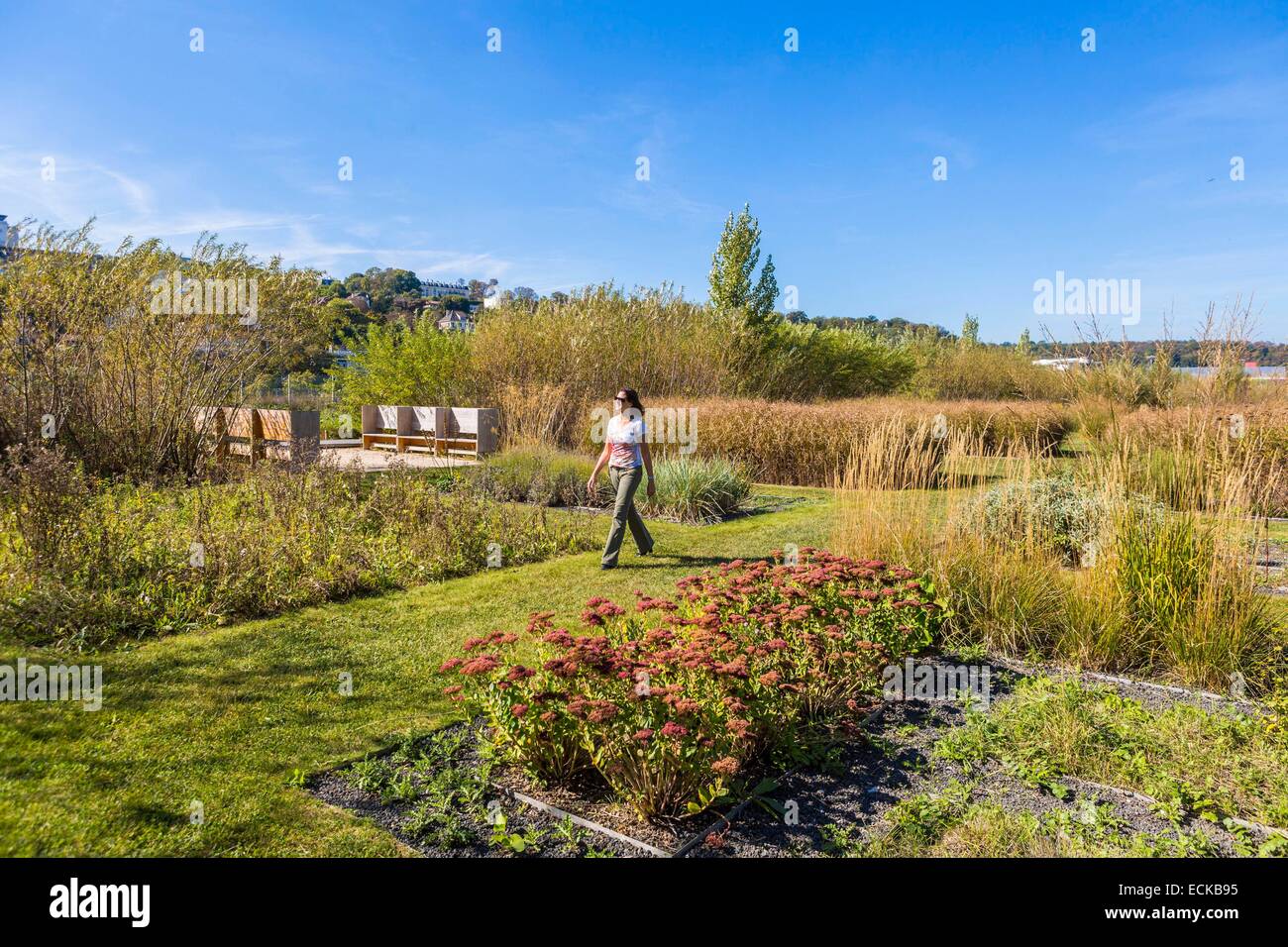 Francia, Hauts de Seine, Boulogne Billancourt, il giardino dell'isola Seguin Foto Stock