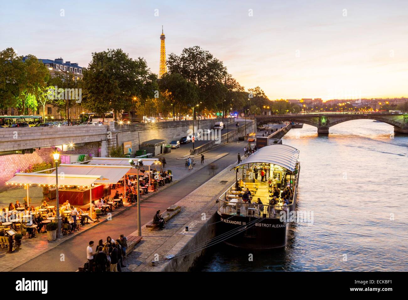 Francia, Parigi, la Senna, illuminato dalla Torre Eiffel (SETE ⌐ luminarie Pierre Bideau) e Ile aux Cygnes (Swans island) Foto Stock