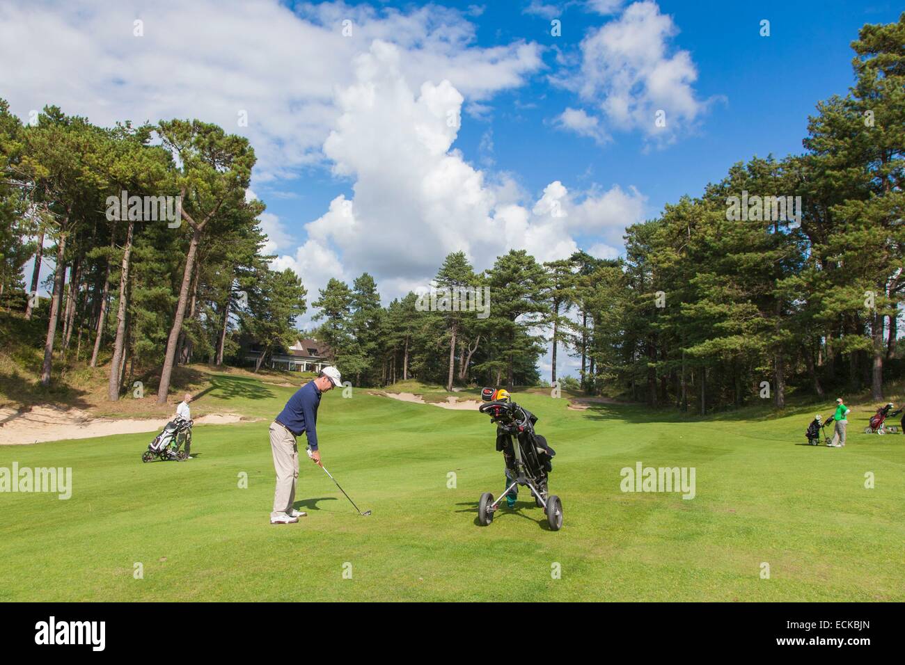 Francia, Pas de Calais, Hardelot, golf Pine Foto Stock