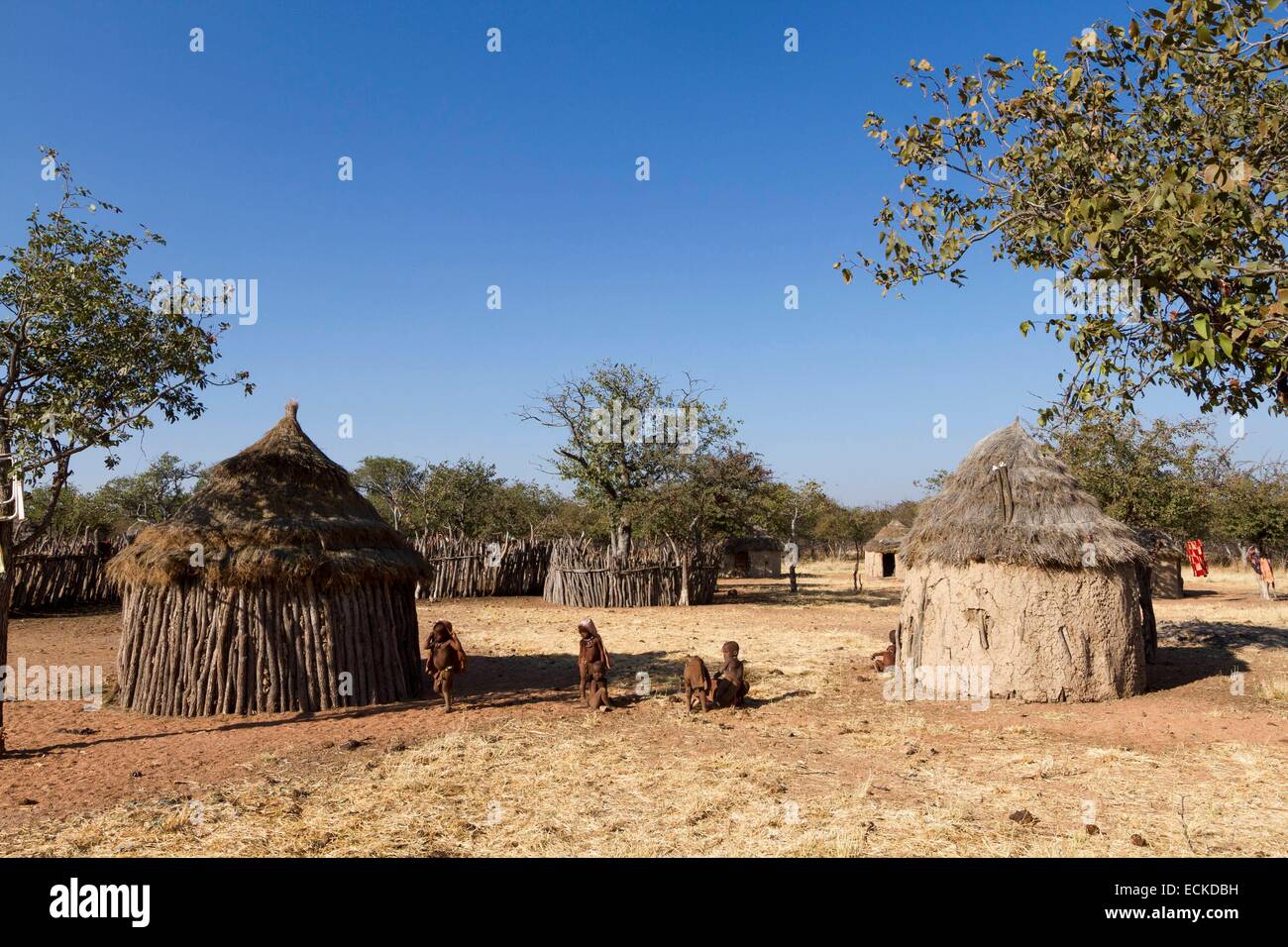 La Namibia, regione di Kunene, Kaokoland, villaggio Himba nei pressi di Kamanjab, Himba bambini davanti a una capanna Foto Stock
