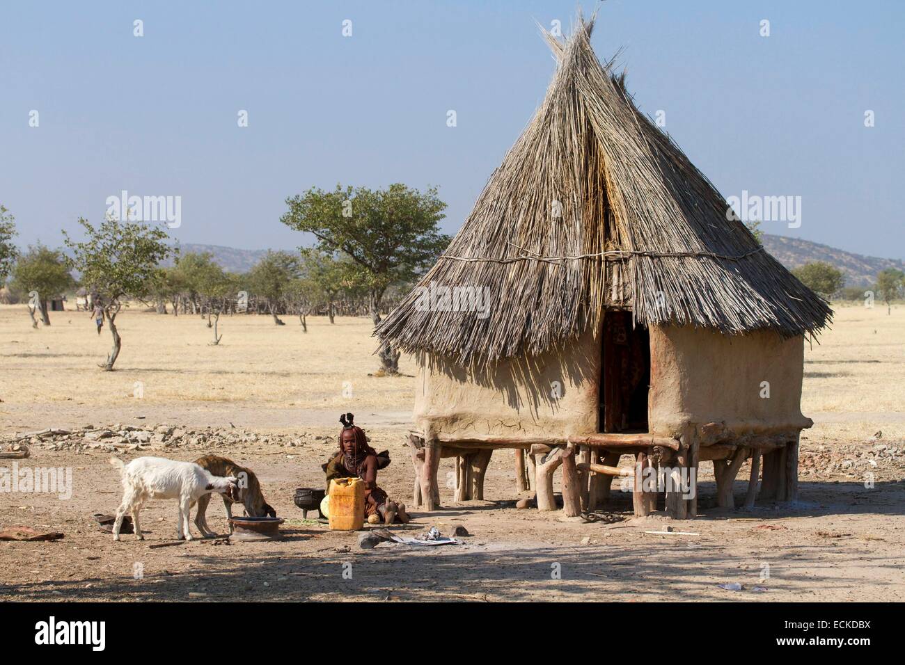 La Namibia, regione di Kunene, Kaokoland, Himba villaggio nei pressi di Opuwo, Himba donna di fronte a una capanna Foto Stock