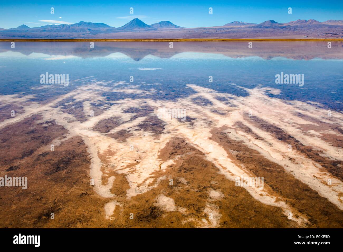 Il Cile, El Norte Grande, Regione di Antofagasta, Salar de Atacama, Laguna Tebenquiche in ore diurne Foto Stock