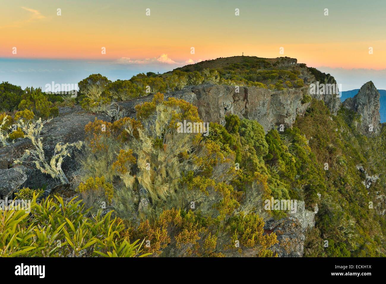 Reunion, il Parc National de la Reunion (Parco Nazionale di la Reunion), il Cirque de Mafate, elencati come patrimonio mondiale dall' UNESCO, il punto di vista di Maido, paesaggio naturale dell'Maido di sunrise Foto Stock