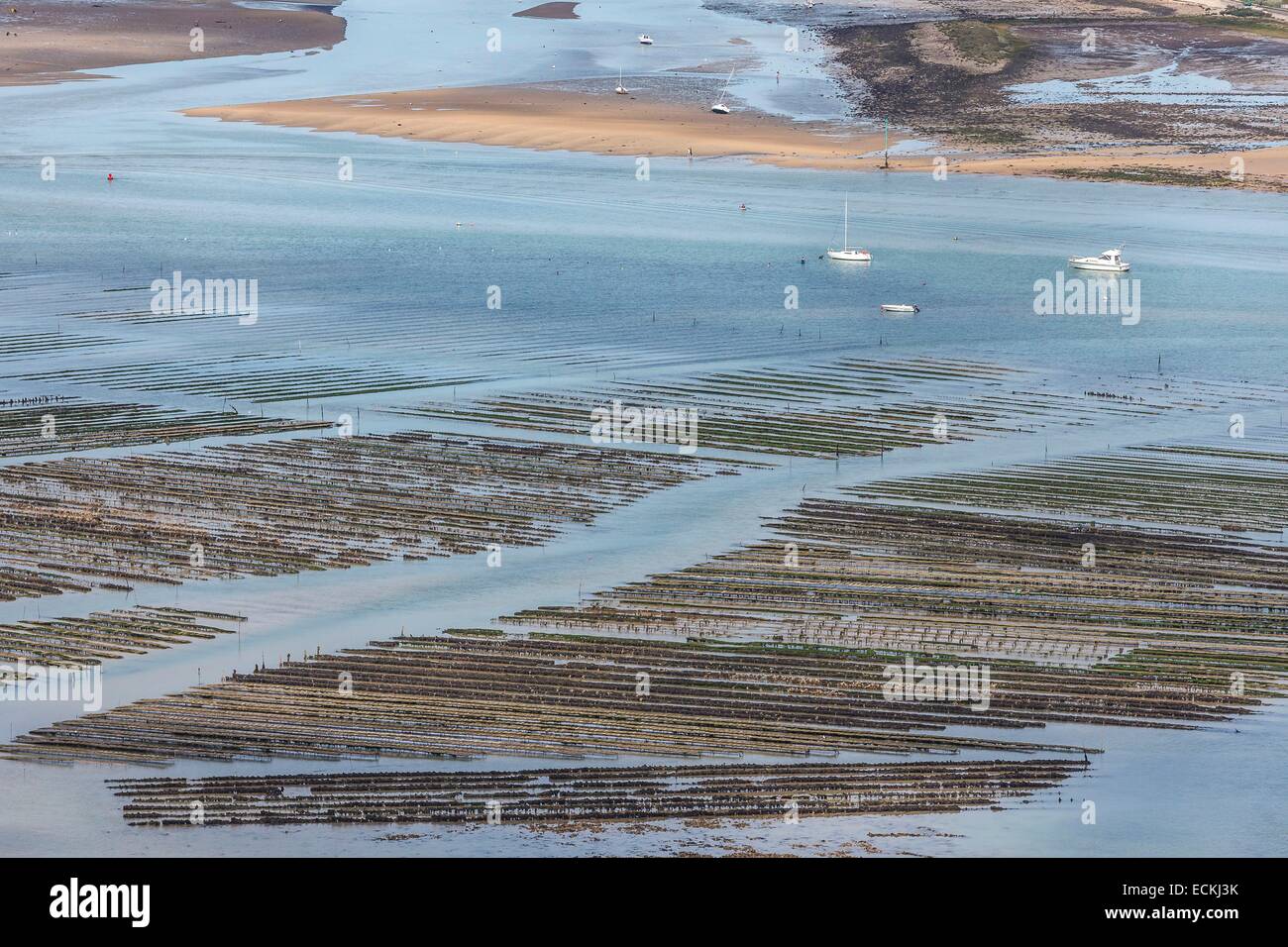Francia, Charente Maritime, Re isola, Ars en Re, ostriche fattoria (vista aerea) Foto Stock