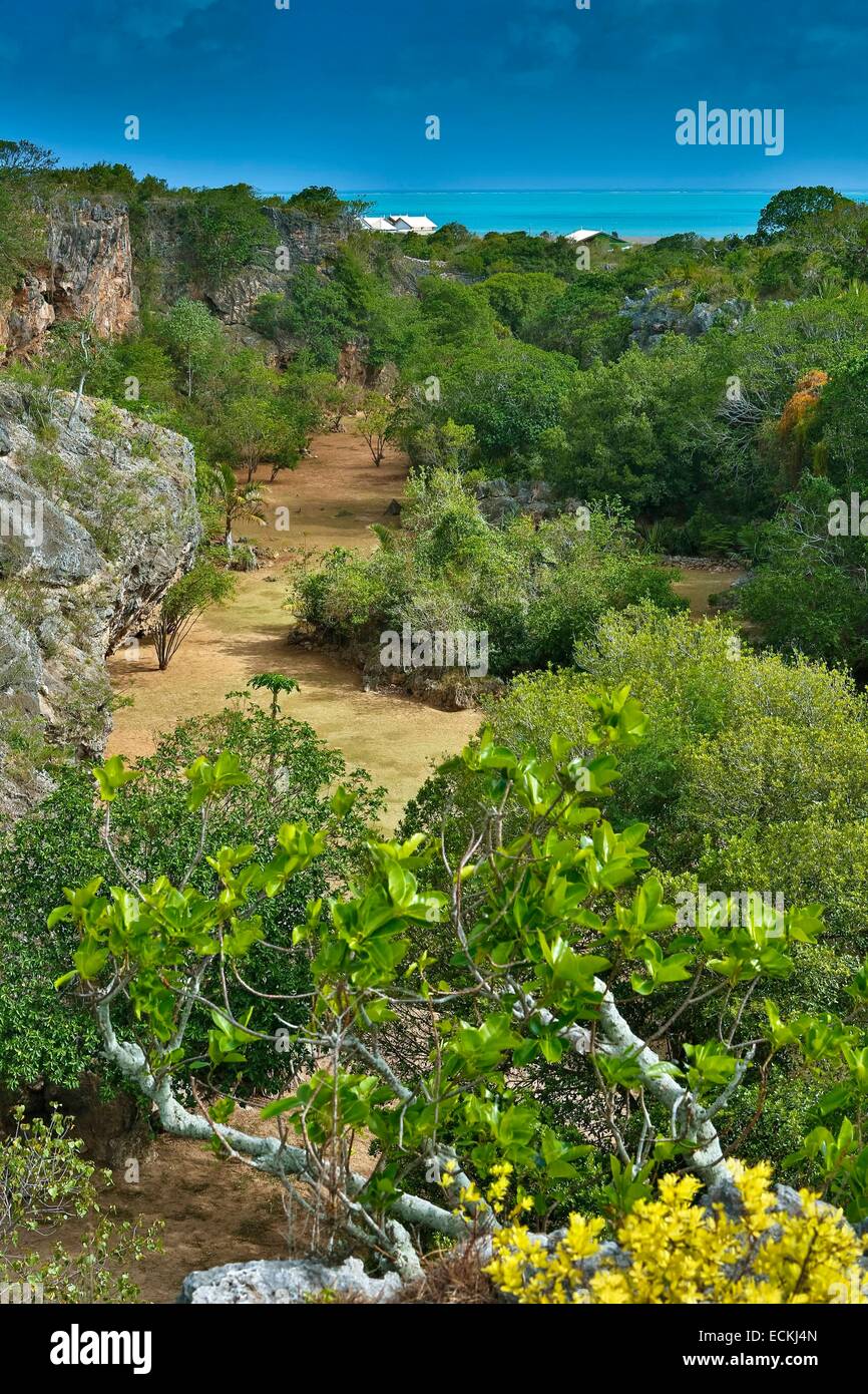 Isola Maurizio, isola Rodrigues, Francois Leguat reserve, riserva di tartarughe giganti, vegetazione vista verticale di un canyon tra gli scogli Foto Stock