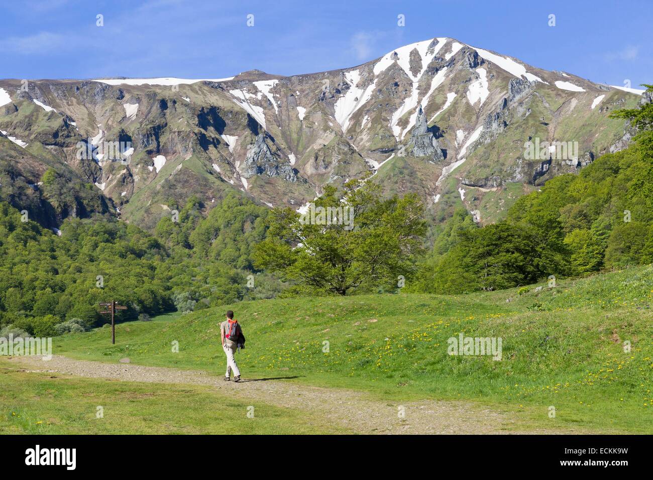 Francia, Puy de Dome, Parc naturel rΘgional des Volcans d'Auvergne, massiccio del Sancy, valle di Chaudefour, Puy Ferrand Foto Stock