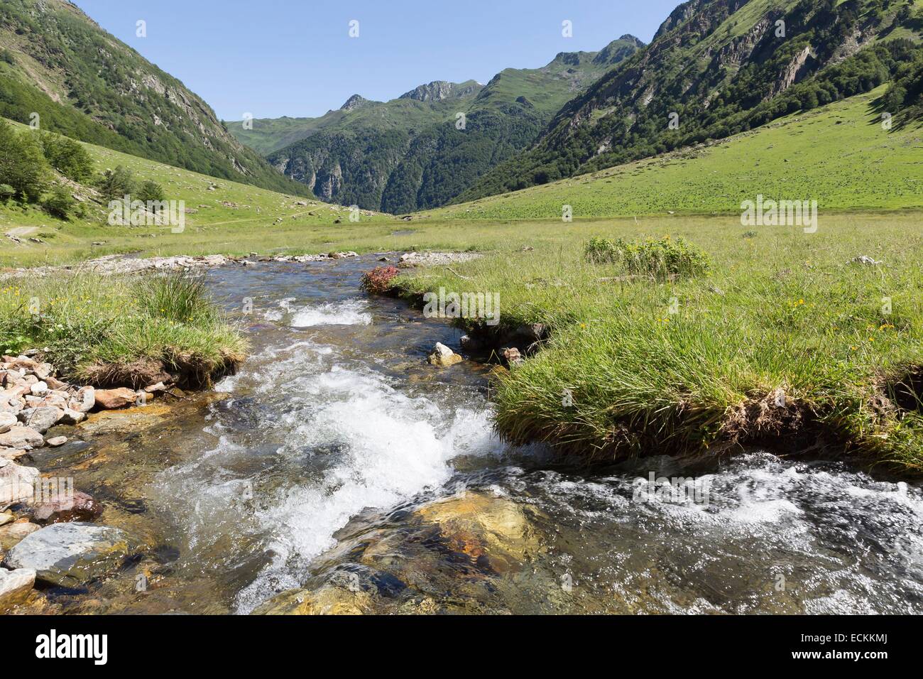 Francia, Ariège, Orlu, Orlu Valley vicino a Ax les Thermes, Orlu National Wildlife Reserve Foto Stock