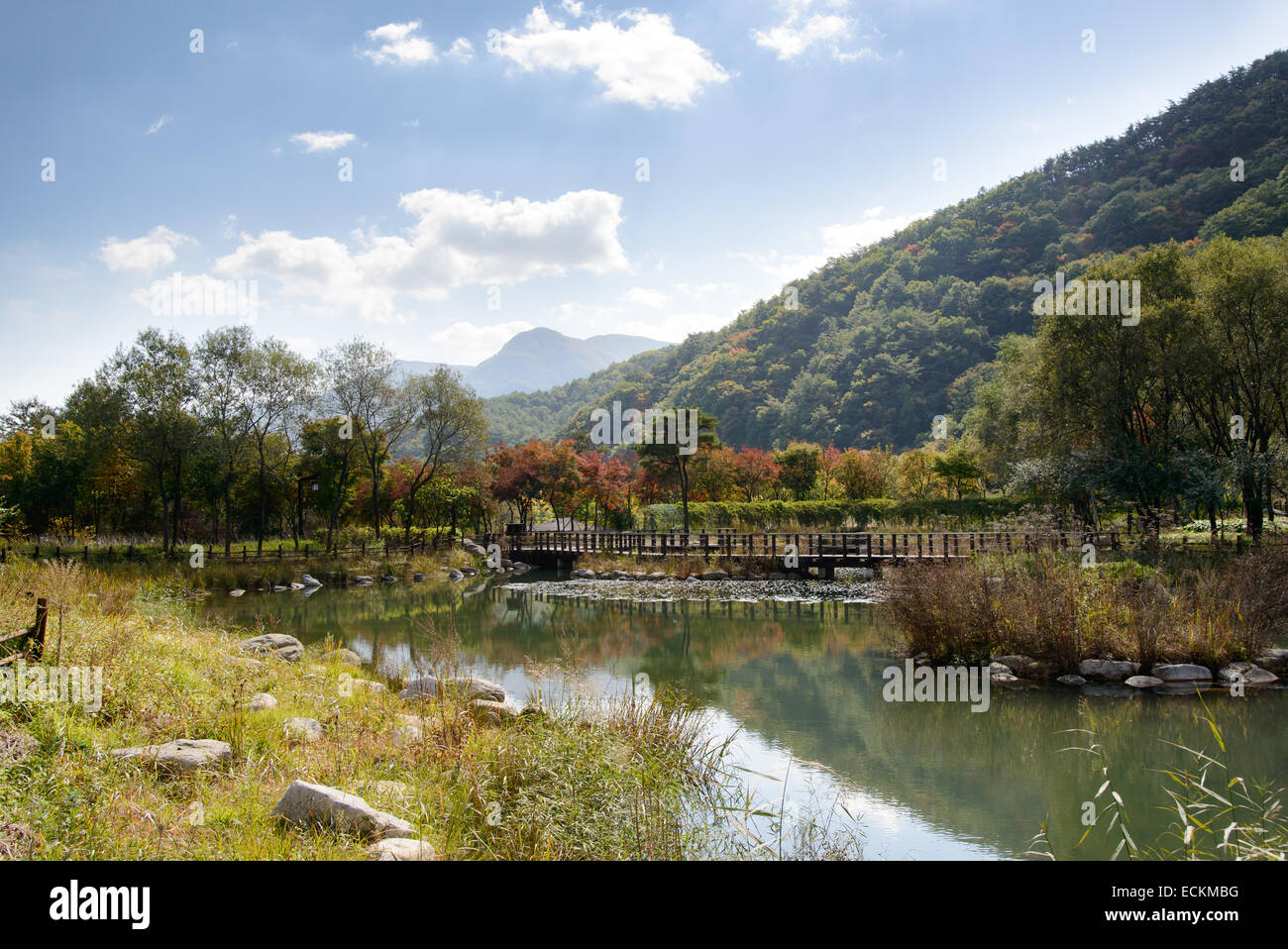 Il paesaggio del lago con il ponte di legno nella giornata di sole Foto Stock