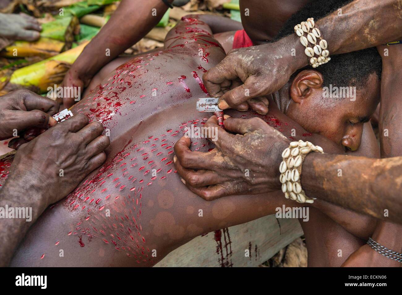 Papua Nuova Guinea, Est provincia Sepik, fiume Sepik regione, scarification cerimonia in coccodrillo uomo Foto Stock