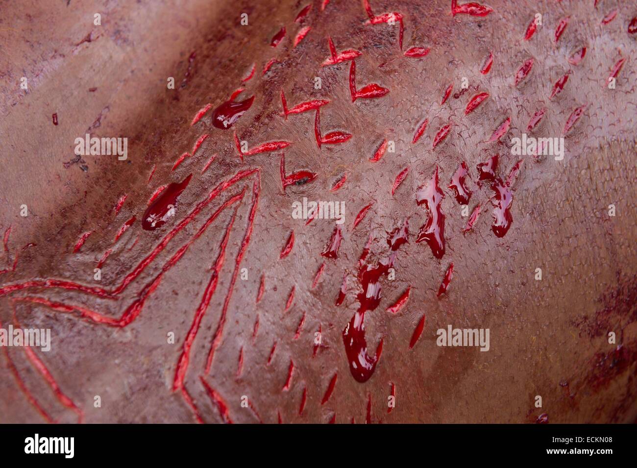 Papua Nuova Guinea, Est provincia Sepik, fiume Sepik regione, scarification cerimonia in coccodrillo uomo Foto Stock