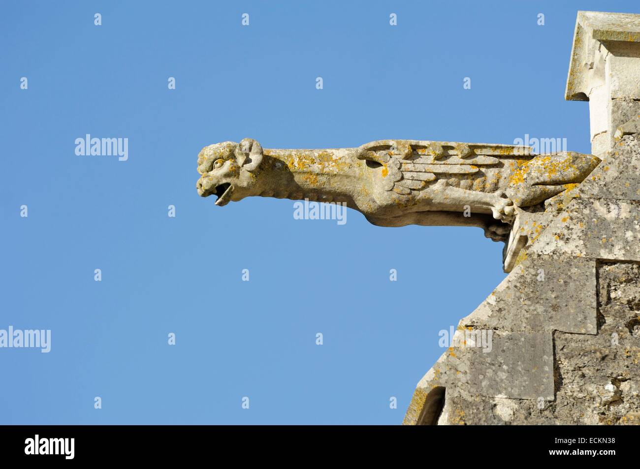 Francia, Aube, Rumilly les Vaudes, la chiesa di San Martino, il Gargoyle guardando a sinistra Foto Stock