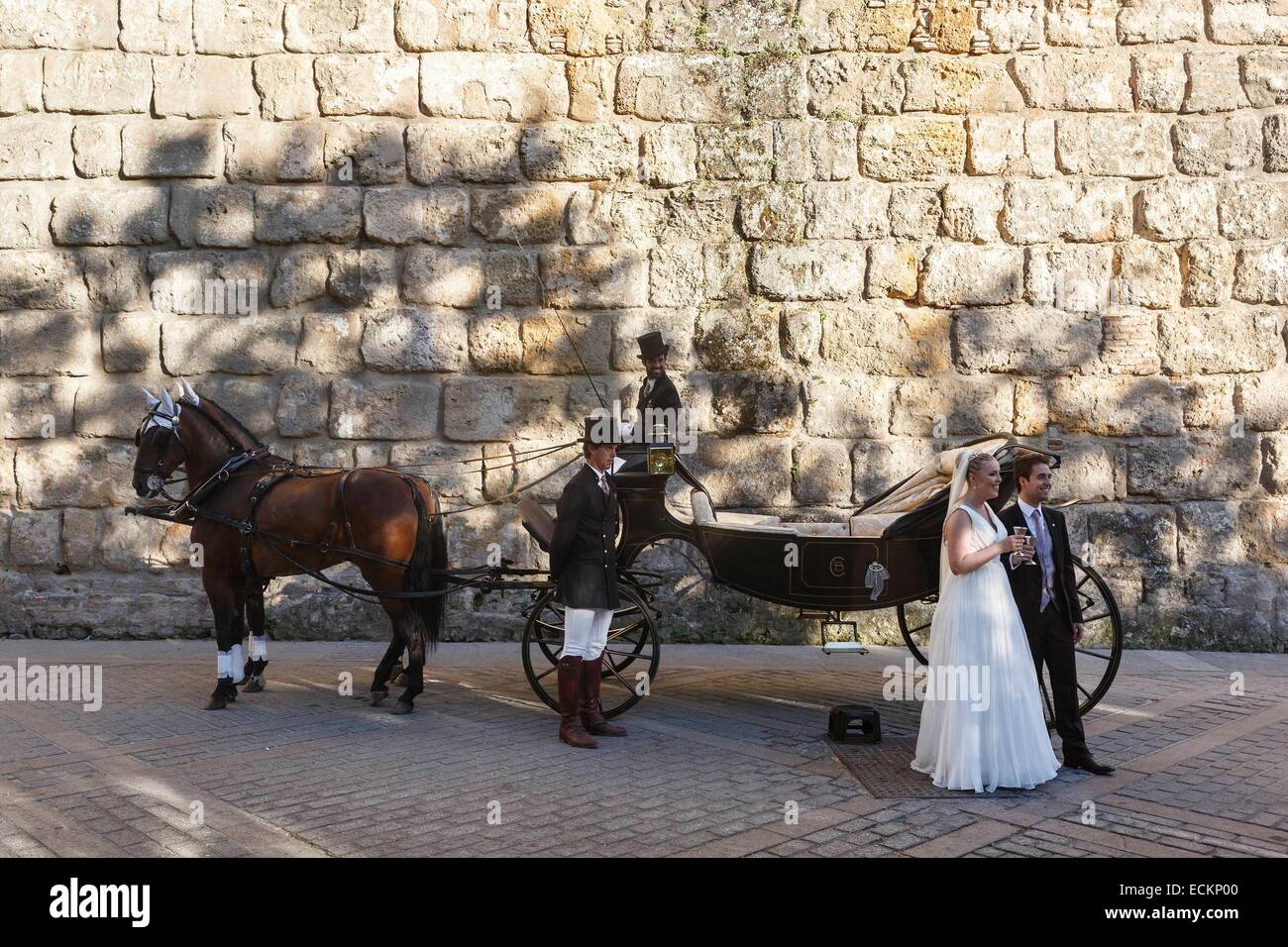 Spagna, Andalusia, sposi novelli carrello davanti alle mura di Alcazar, elencato come patrimonio mondiale dall' UNESCO Foto Stock