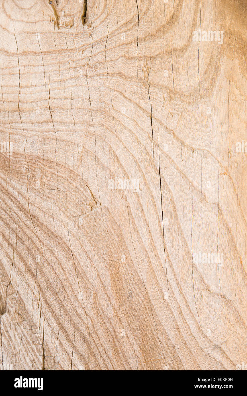 Primo piano della luce marrone piatto modello in legno Foto Stock