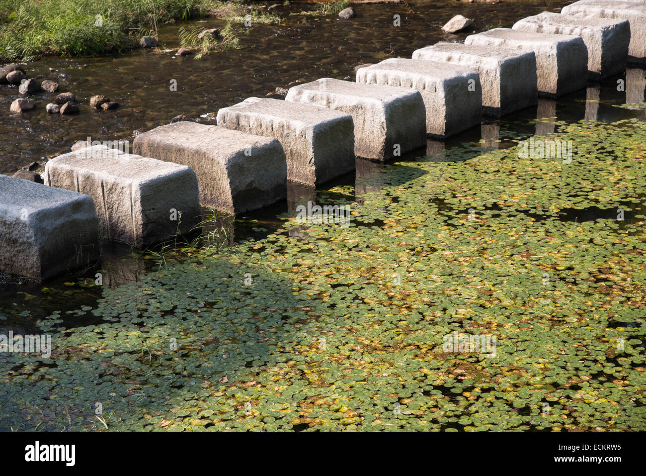 Pietre miliari attraversare un flusso in esterni Foto Stock