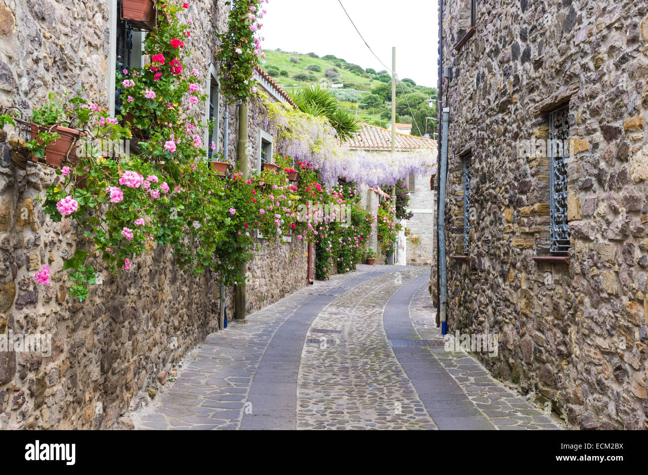 Strada stretta di fiori in una piccola città della Sardegna Foto Stock