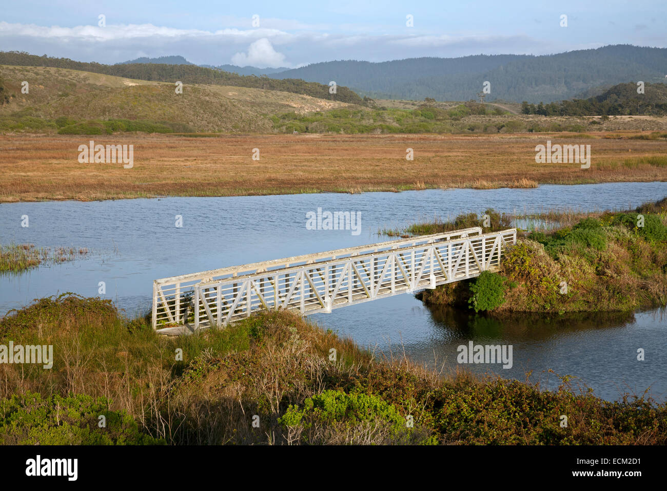 CA02511-00...CALIFORNIA - ponte di una diga nel nord Butano Marsh in Pescadero Marsh riserva naturale. Foto Stock