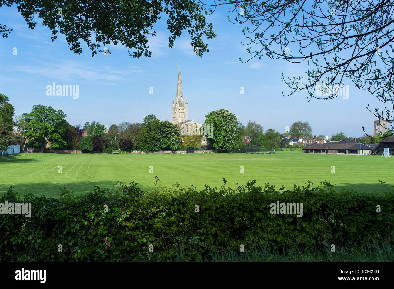 Norwich Cathedral visto dal Riverside attraverso Kings School Campo da gioco Foto Stock