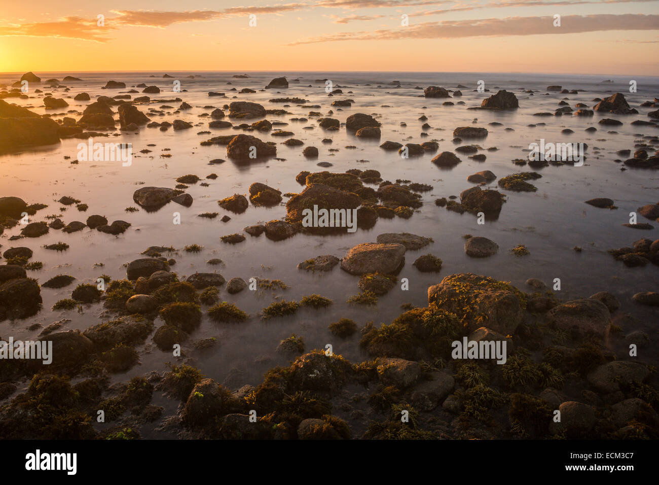 La costa rocciosa nei pressi di Okato, Taranaki, Isola del nord, Nuova Zelanda Foto Stock
