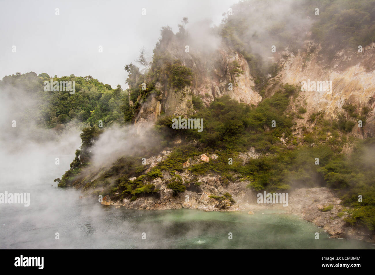 Padella Lago, Valle Vulcanica di Waimangu, Isola del nord, Nuova Zelanda Foto Stock