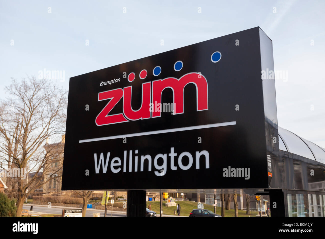 Un segno per un Züm Rapid Transit Bus stop nel centro cittadino di Brampton, Ontario, Canada. Foto Stock