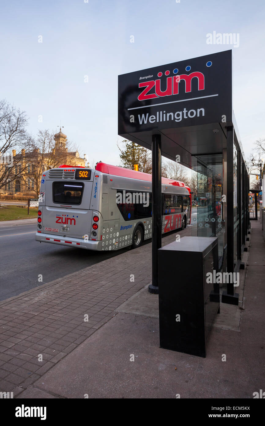 Un Züm Rapid Transit Bus alla fermata dell autobus nel centro cittadino, Brampton, Ontario, Canada. Foto Stock