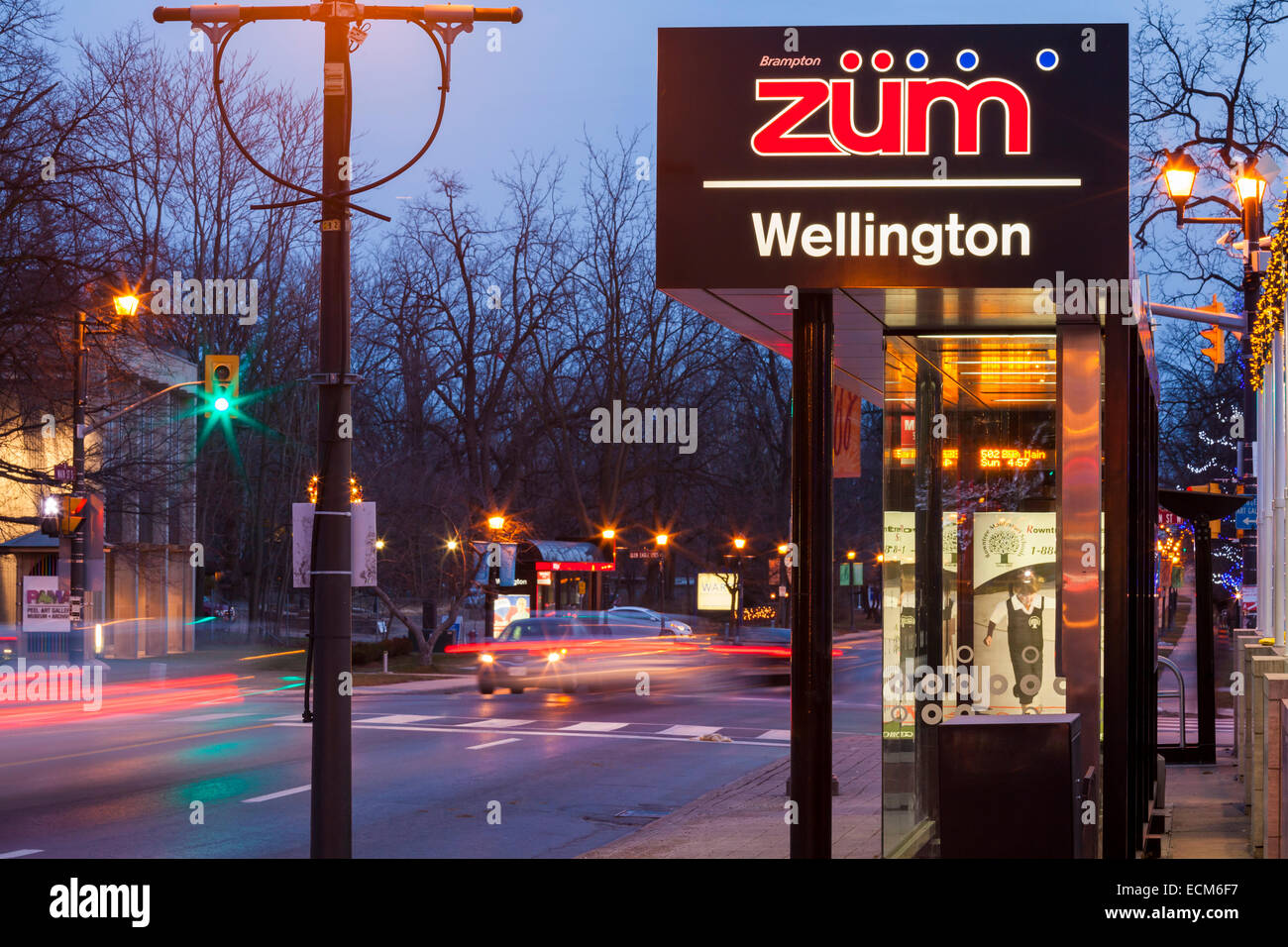 Un Züm rapid transit bus fermata lungo la strada principale del centro cittadino di Brampton, Ontario, Canada. Foto Stock