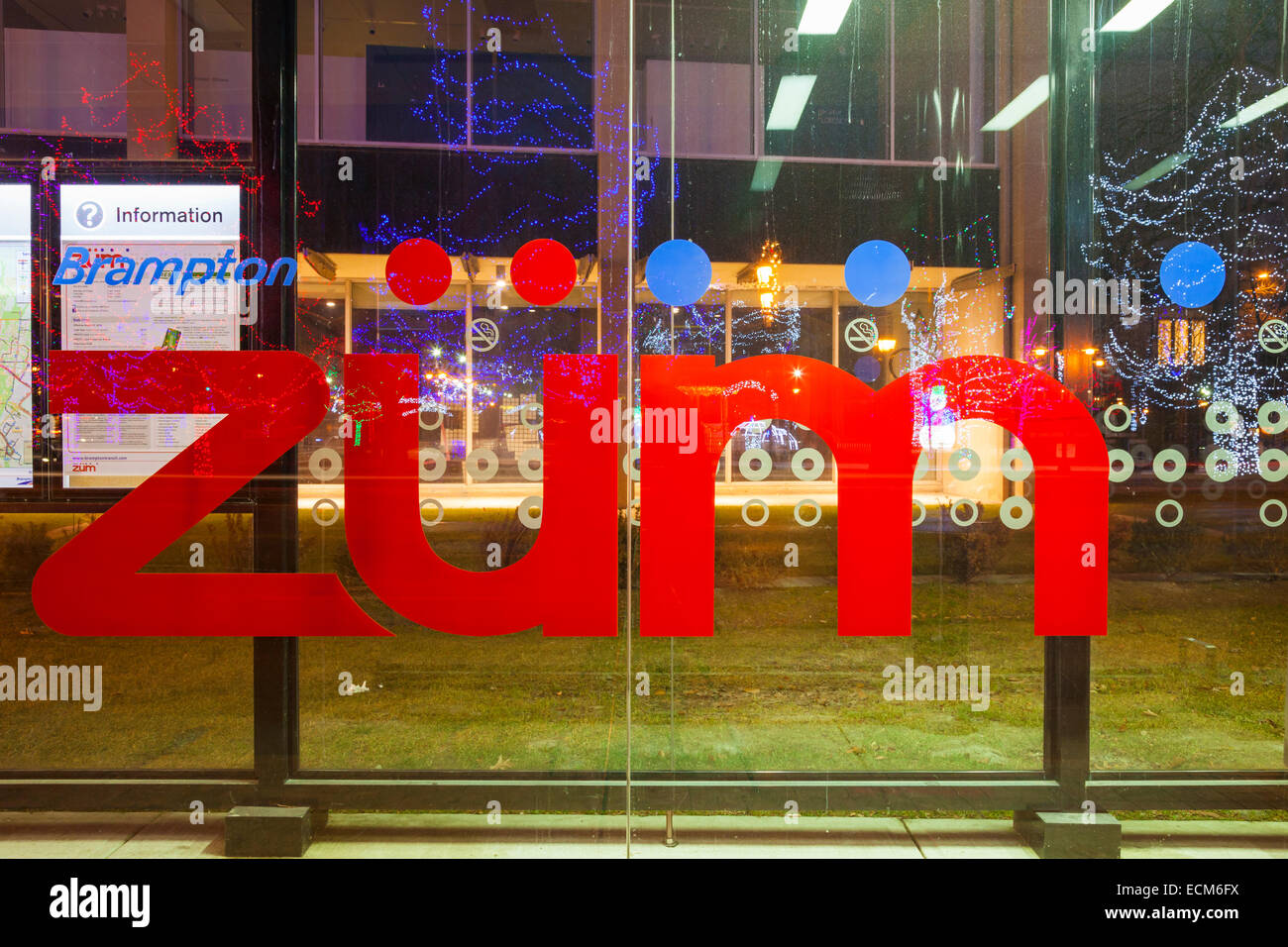 Il Züm rapid transit logo con le luci del Natale si riflette nel vetro. Downtown Brampton, Ontario, Canada. Foto Stock