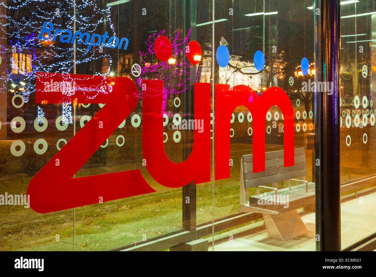 Il Züm rapid transit logo con le luci del Natale si riflette nel vetro. Downtown Brampton, Ontario, Canada. Foto Stock