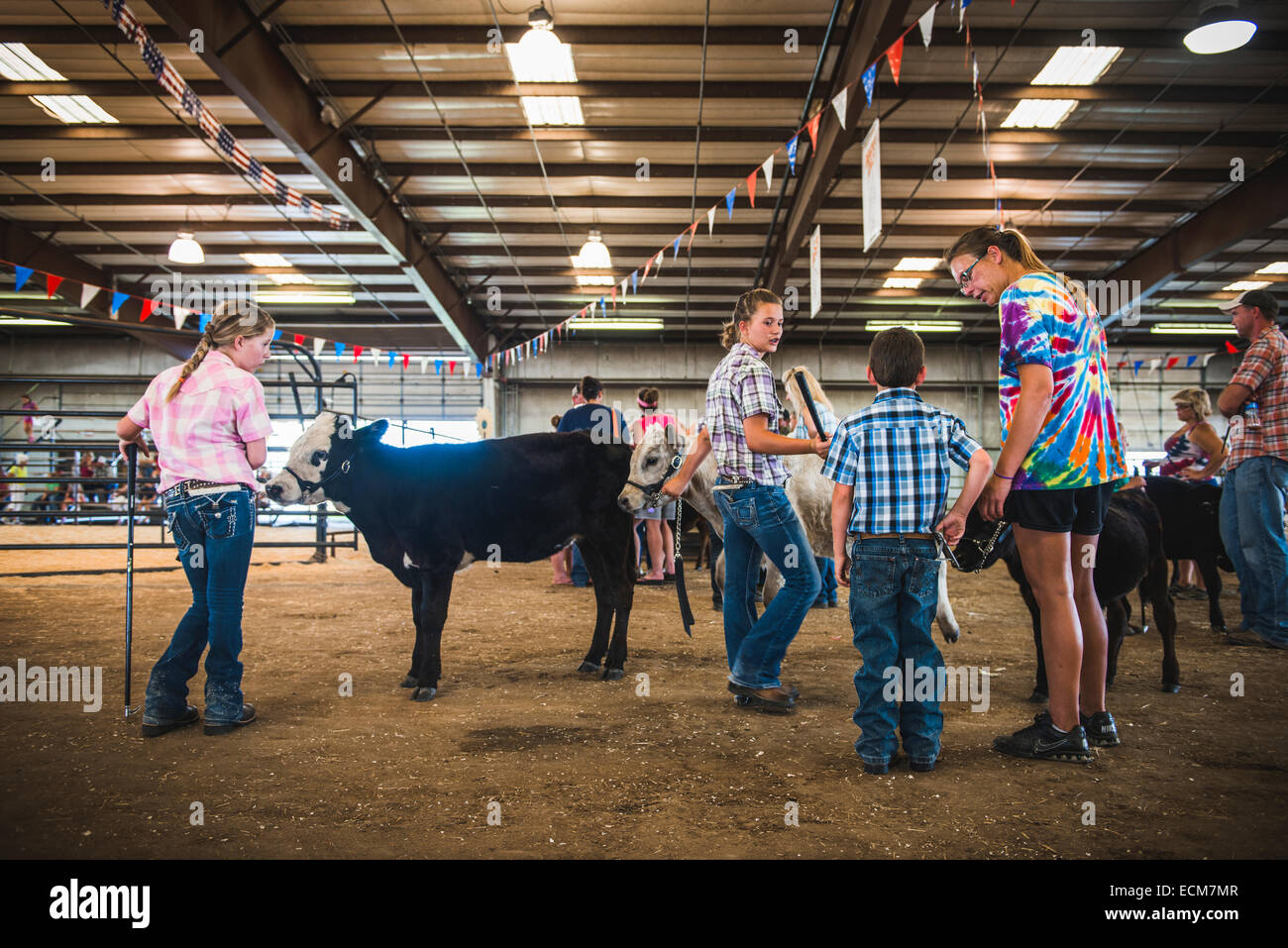 Un animale mostra al County Fair Foto Stock