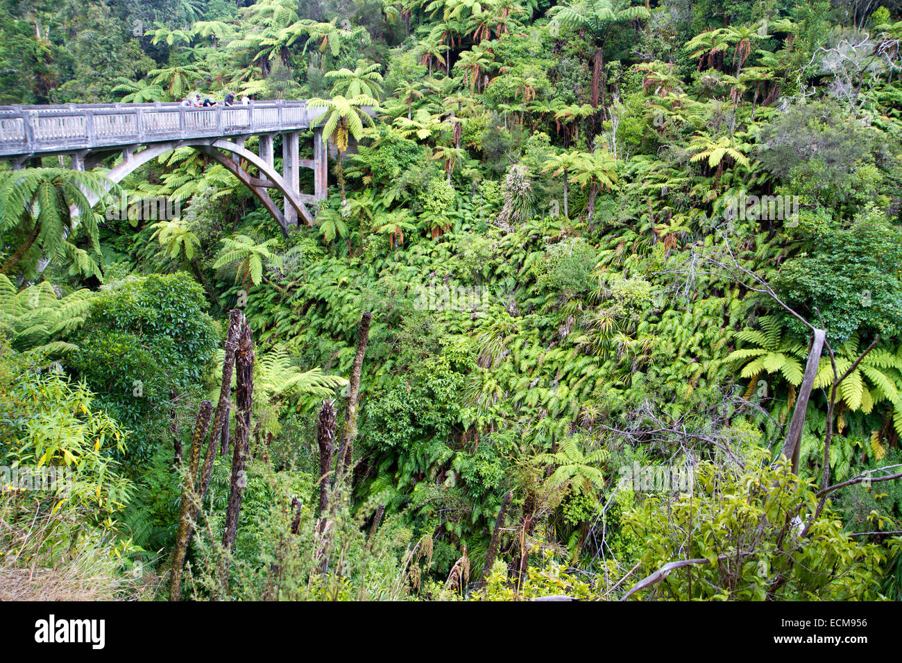 Il Bridge to Nowhere Foto Stock