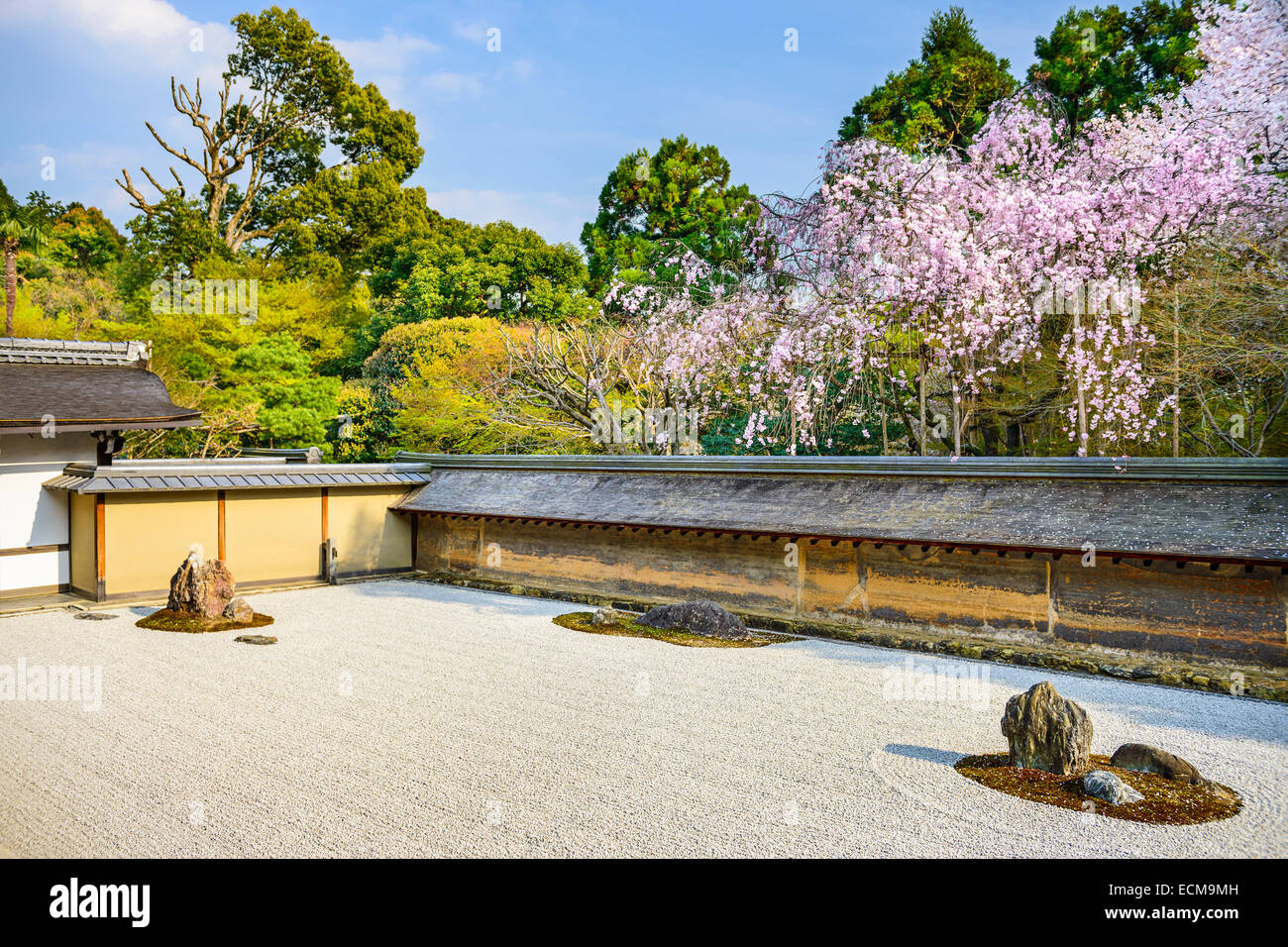 Kyoto, Giappone a Ryoan-ji il Tempio Zen Garden nella stagione primaverile. Foto Stock