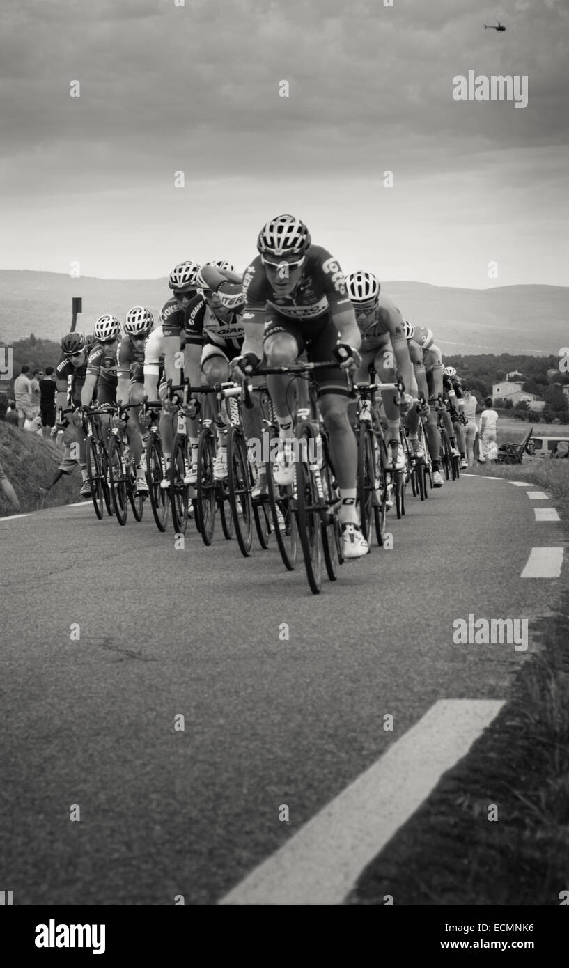 Il Tour de France peloton giostre in echelon su strade aperte al traffico della Provenza nel luglio 2014. Una gara di elicottero si libra tettuccio Foto Stock