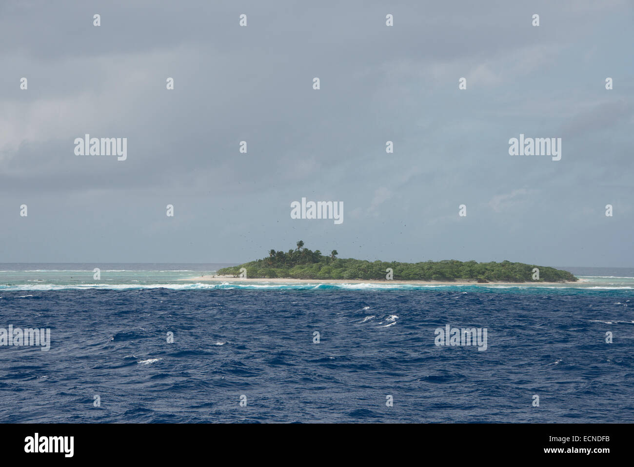 Oceano Pacifico occidentale, Stati Federati di Micronesia, Isole Caroline, stato di Yap. Minuscola isola remota di Gaferut. Foto Stock