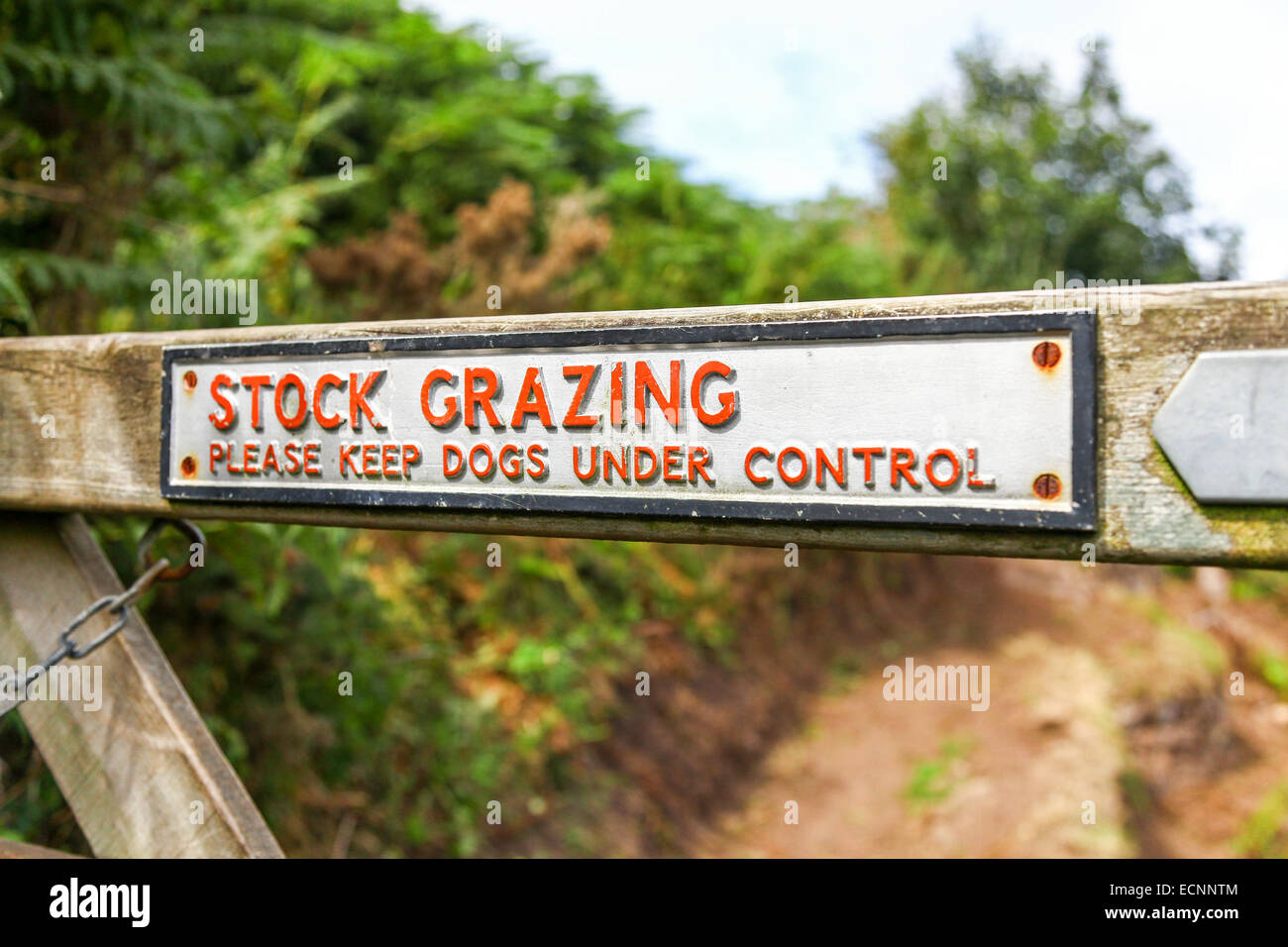 Un segno su un cancello con caratteri rossi dicendo il pascolo di stock si prega di tenere i cani sotto controllo Foto Stock