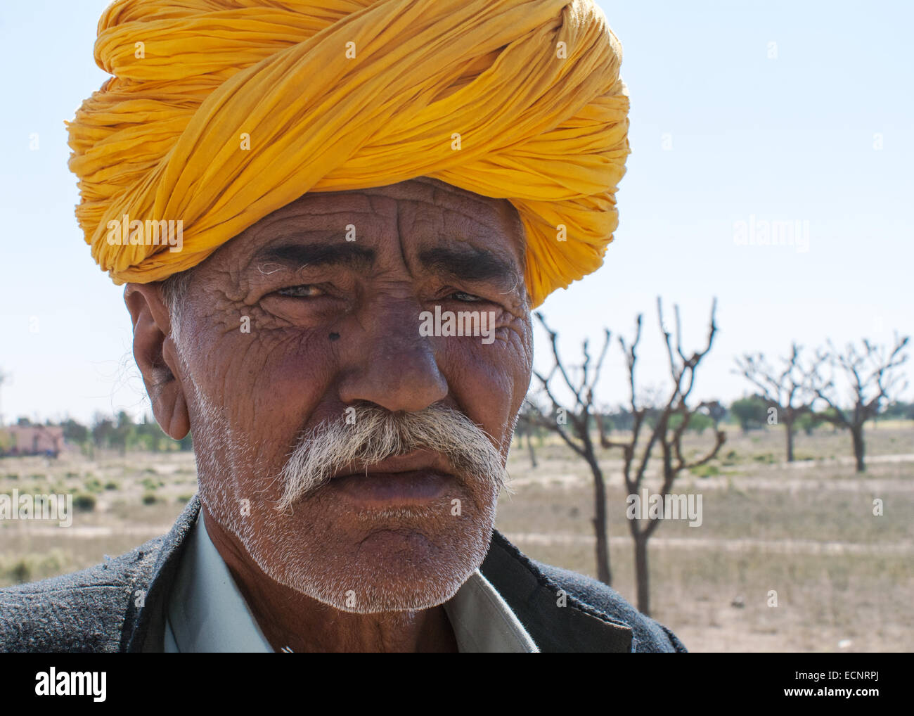 Rajasthan uomo con turbante di zafferano. Foto Stock