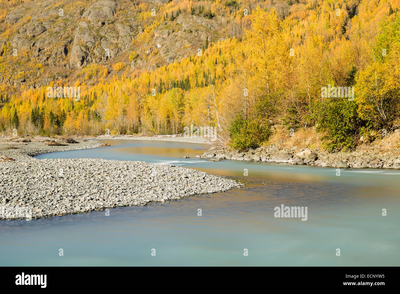 Lunga esposizione della caduta delle foglie lungo le rive del fiume Eagle in Chugach State Park in Alaska centromeridionale. Foto Stock