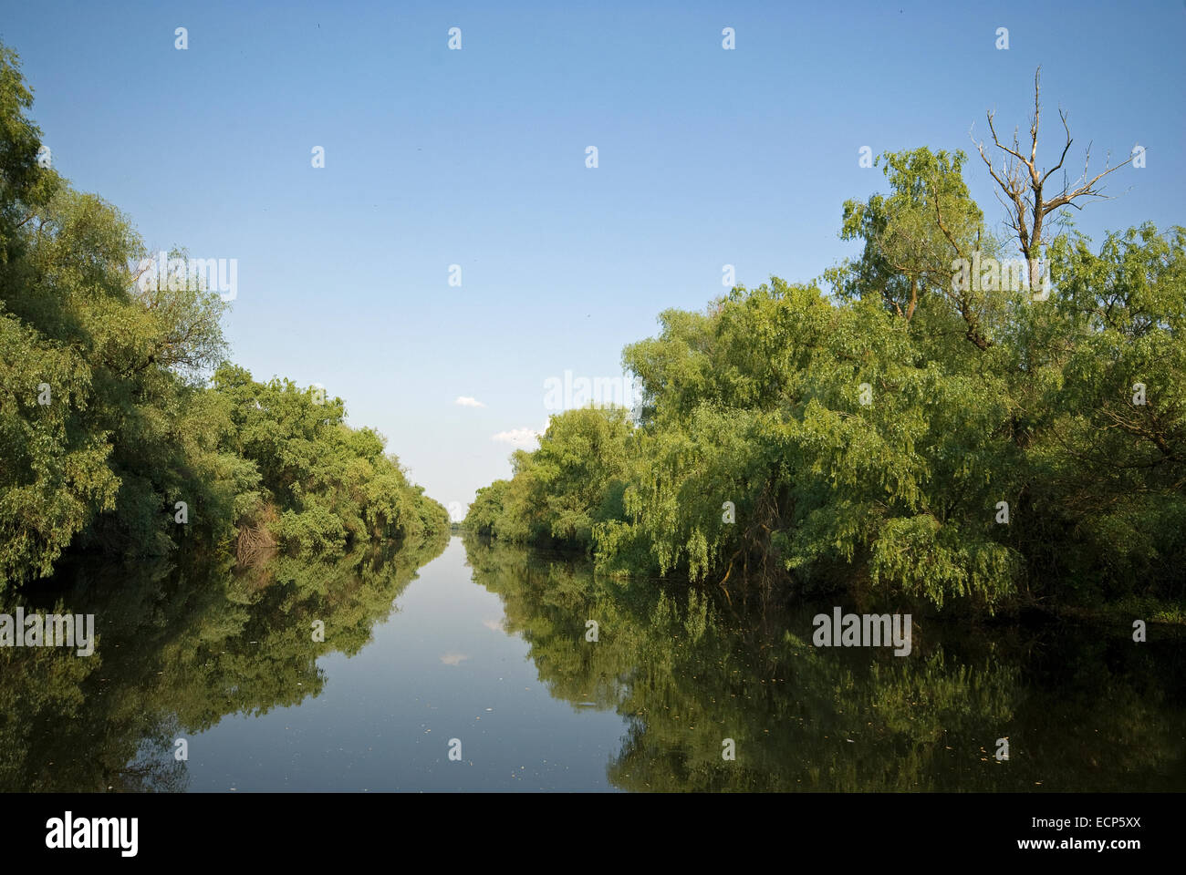 Il delta del Danubio, Sito Patrimonio Mondiale dell'Unesco, Romania, Europa Foto Stock