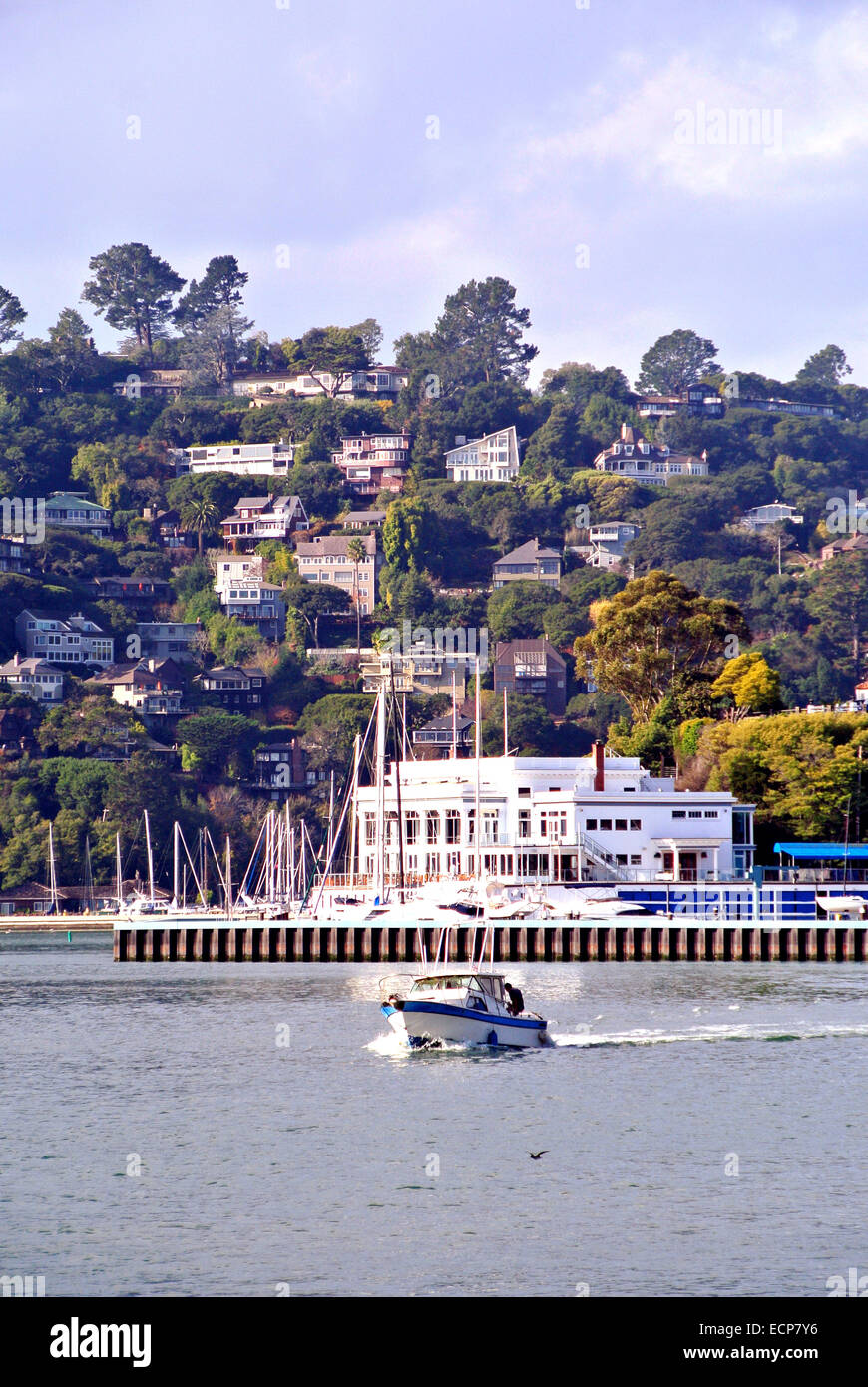 Vista di Tiburon Yacht Club , Belvedere Isola e piccolo yacht lasciando Tiburon Harbour Foto Stock